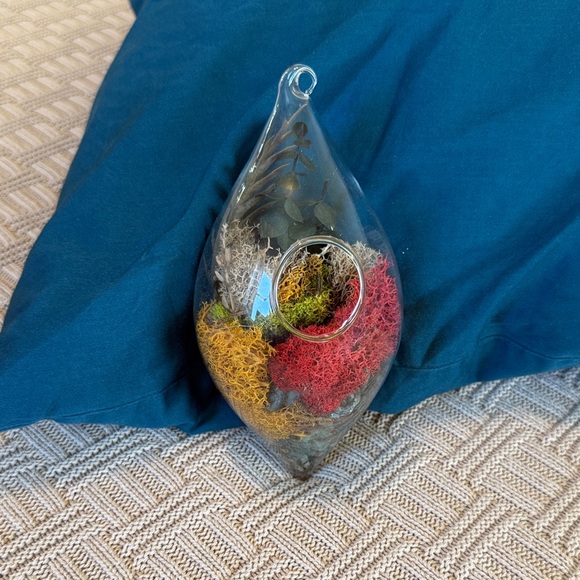Glass Teardrop Hanging Terrarium with Red, Yellow, and Green Moss - Picture 7 of 10